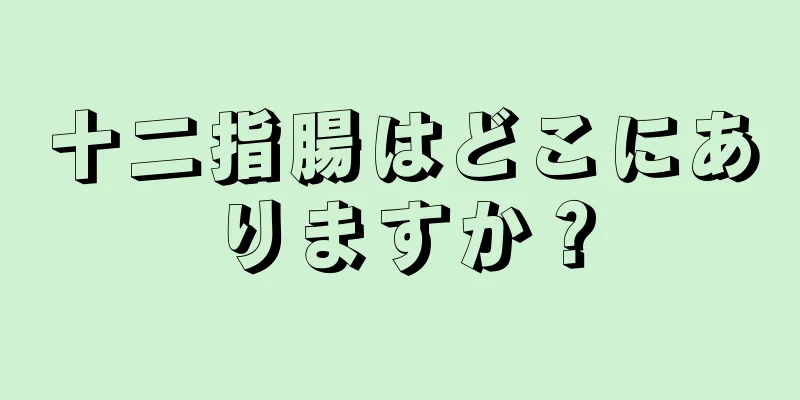 十二指腸はどこにありますか？