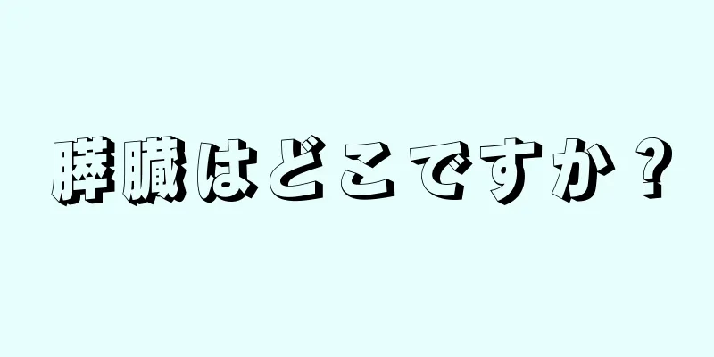 膵臓はどこですか？