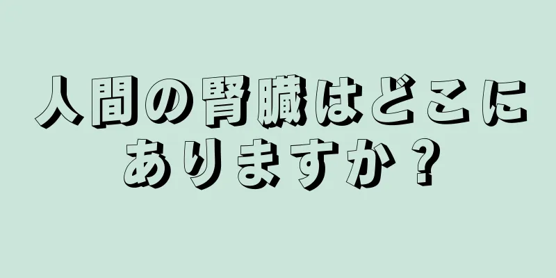 人間の腎臓はどこにありますか？