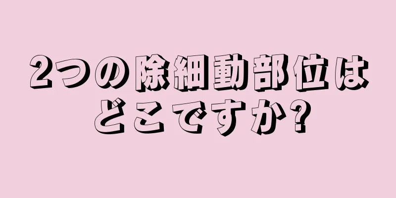 2つの除細動部位はどこですか?