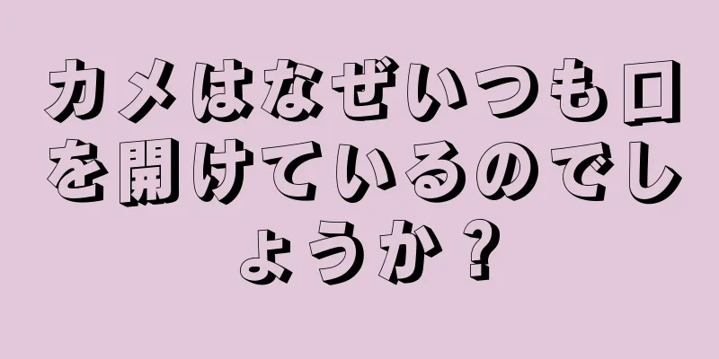 カメはなぜいつも口を開けているのでしょうか？