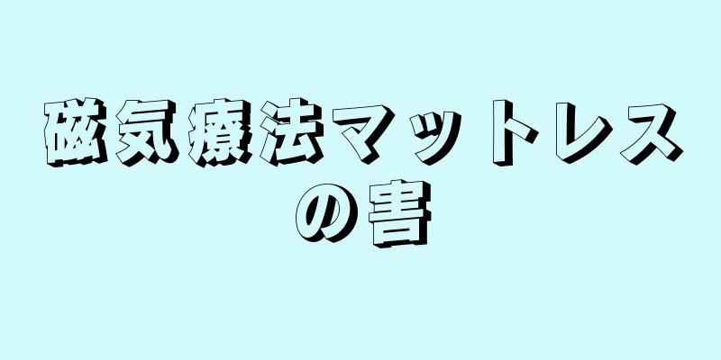 磁気療法マットレスの害