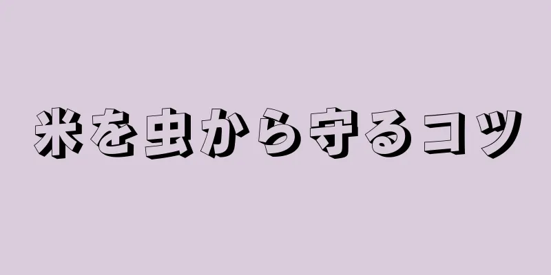 米を虫から守るコツ