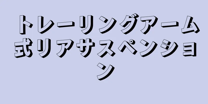 トレーリングアーム式リアサスペンション