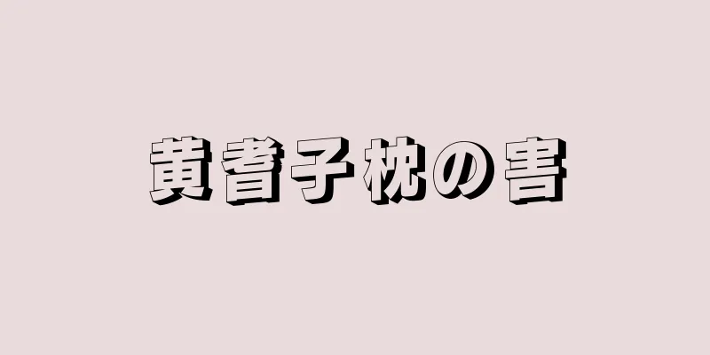 黄耆子枕の害