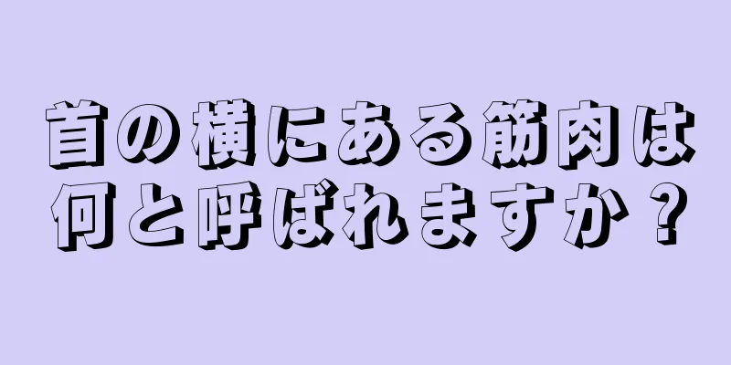 首の横にある筋肉は何と呼ばれますか？