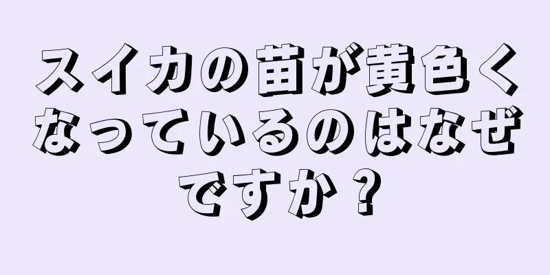 スイカの苗が黄色くなっているのはなぜですか？