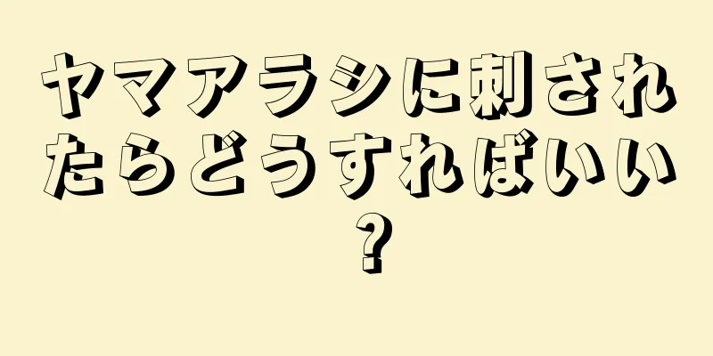 ヤマアラシに刺されたらどうすればいい？