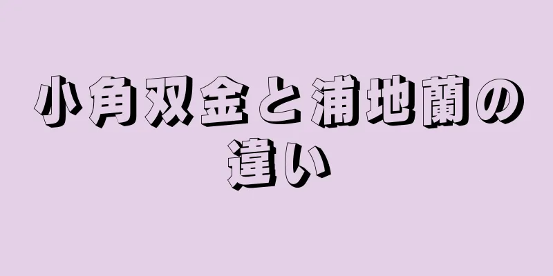 小角双金と浦地蘭の違い