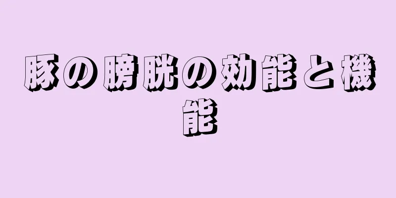 豚の膀胱の効能と機能