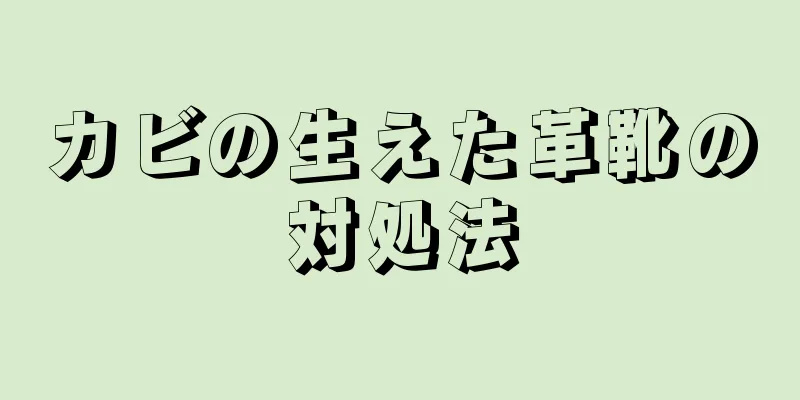 カビの生えた革靴の対処法