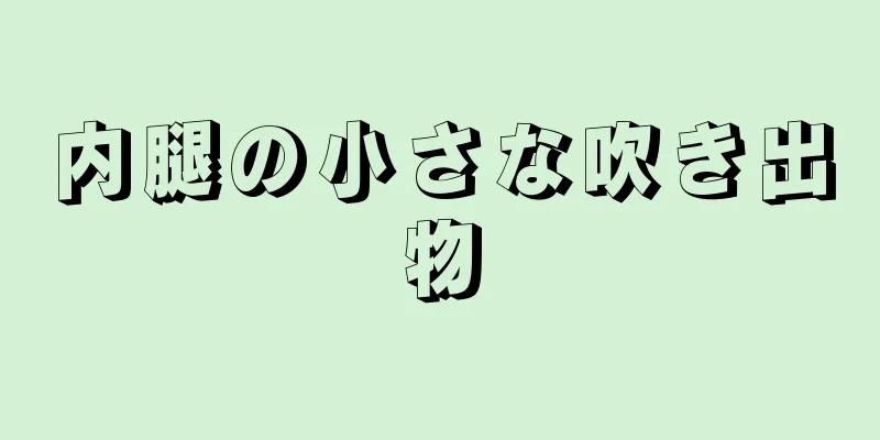 内腿の小さな吹き出物