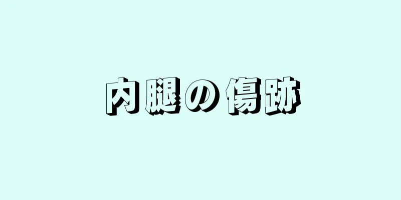 内腿の傷跡