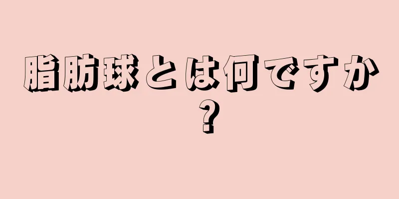 脂肪球とは何ですか？