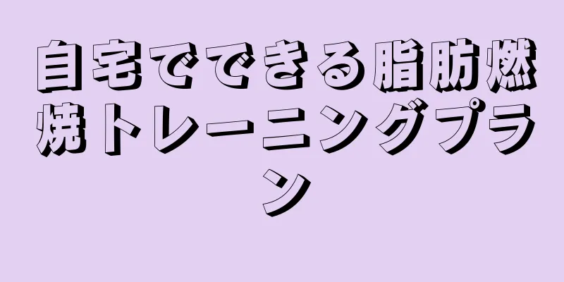 自宅でできる脂肪燃焼トレーニングプラン