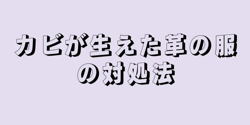 カビが生えた革の服の対処法