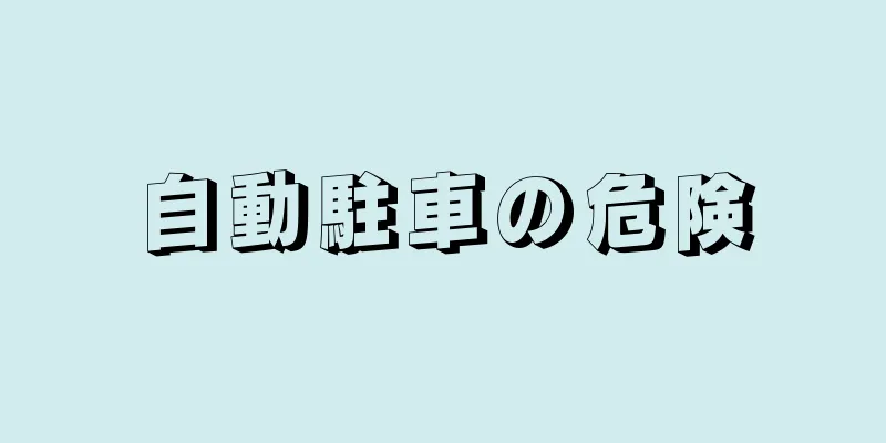 自動駐車の危険