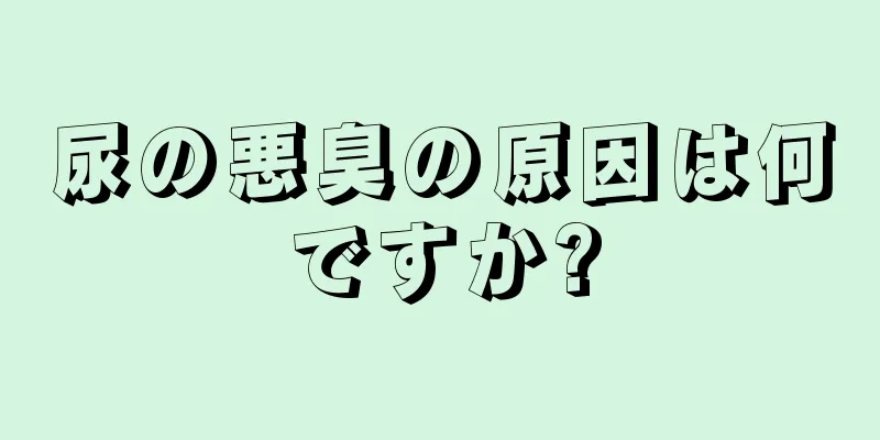 尿の悪臭の原因は何ですか?