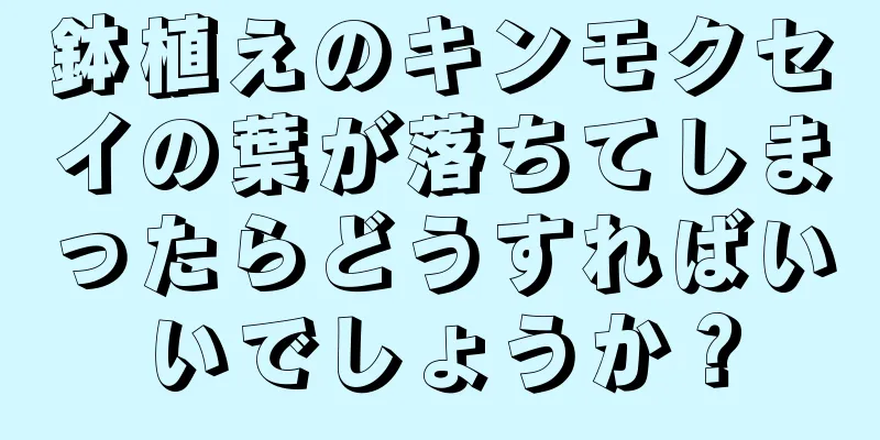 鉢植えのキンモクセイの葉が落ちてしまったらどうすればいいでしょうか？