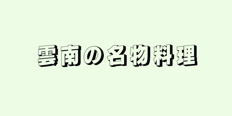 雲南の名物料理