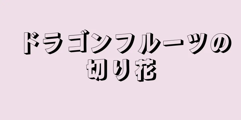 ドラゴンフルーツの切り花