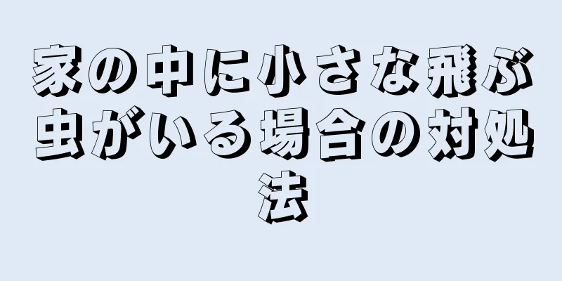 家の中に小さな飛ぶ虫がいる場合の対処法