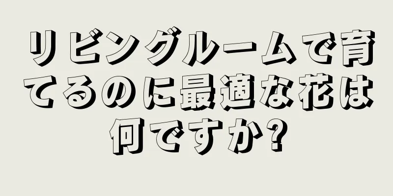 リビングルームで育てるのに最適な花は何ですか?