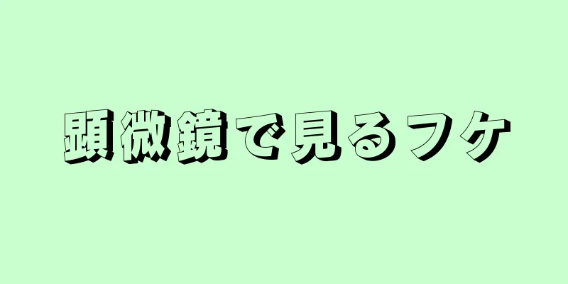 顕微鏡で見るフケ