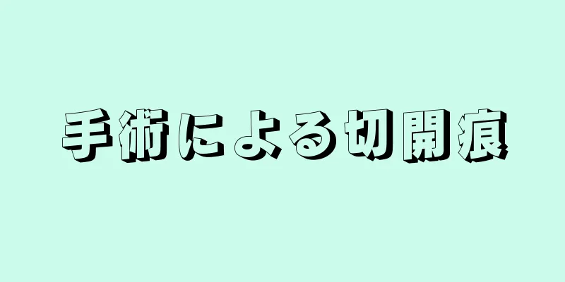 手術による切開痕