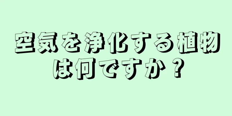 空気を浄化する植物は何ですか？