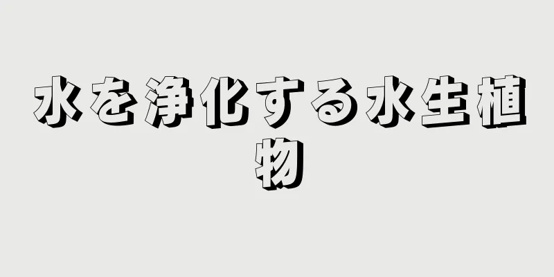 水を浄化する水生植物