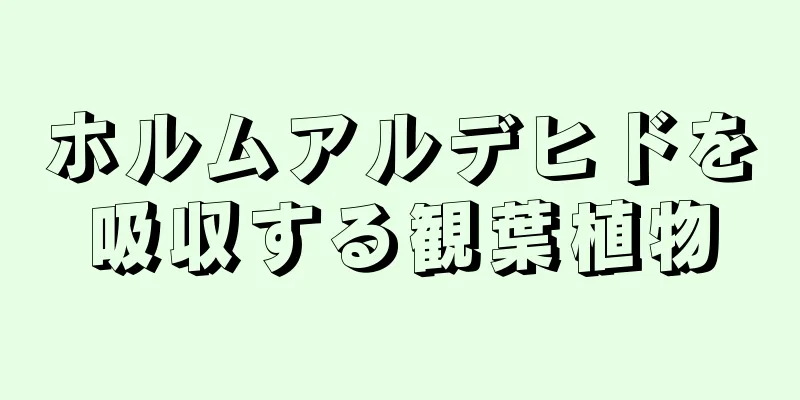 ホルムアルデヒドを吸収する観葉植物