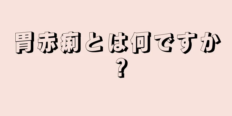 胃赤痢とは何ですか？