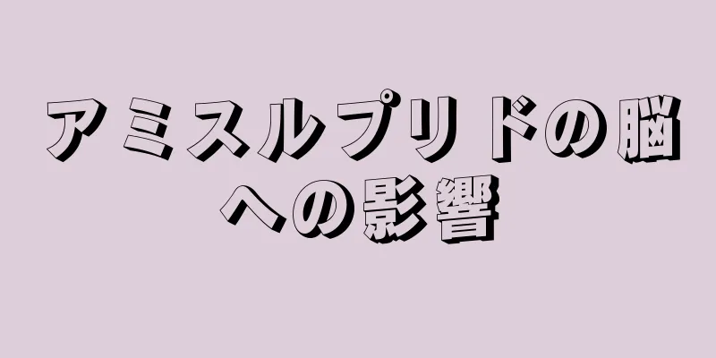 アミスルプリドの脳への影響