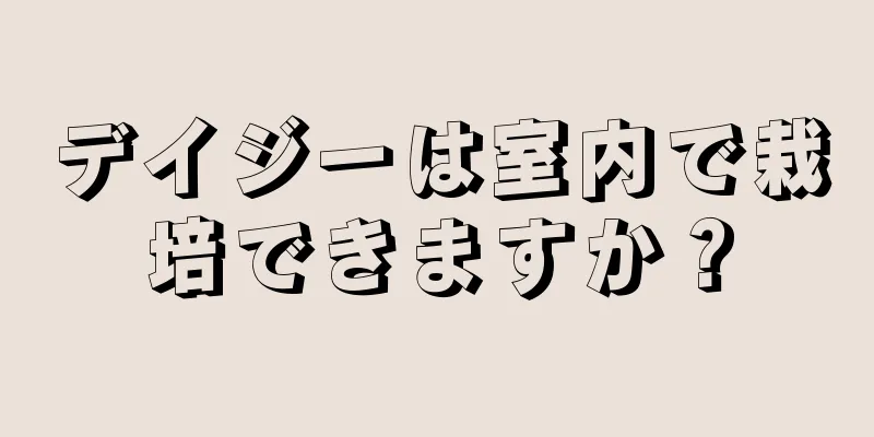 デイジーは室内で栽培できますか？