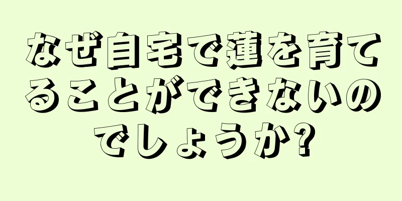 なぜ自宅で蓮を育てることができないのでしょうか?