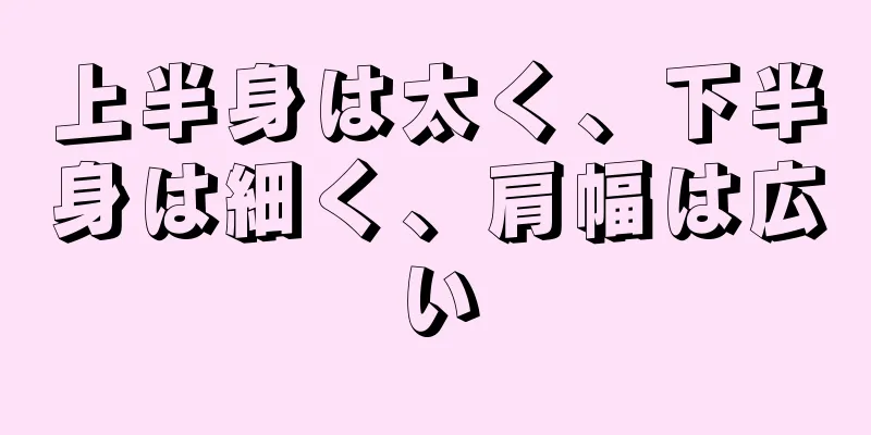 上半身は太く、下半身は細く、肩幅は広い