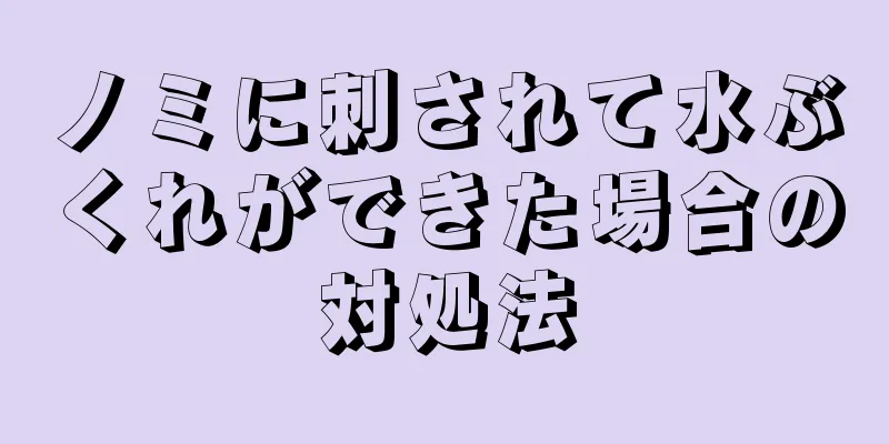 ノミに刺されて水ぶくれができた場合の対処法