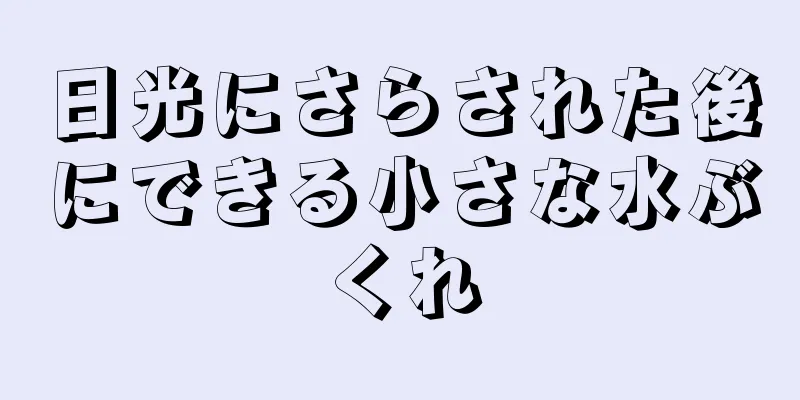 日光にさらされた後にできる小さな水ぶくれ