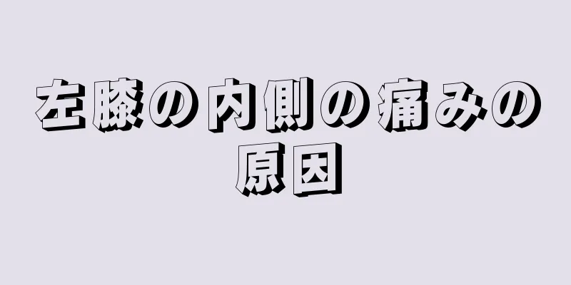 左膝の内側の痛みの原因