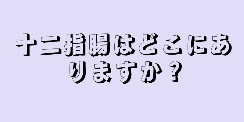 十二指腸はどこにありますか？