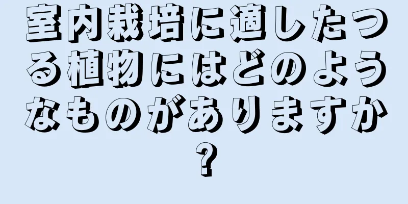 室内栽培に適したつる植物にはどのようなものがありますか?