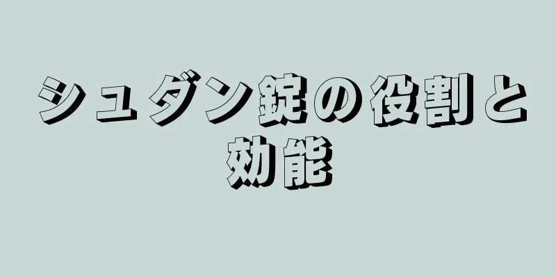 シュダン錠の役割と効能