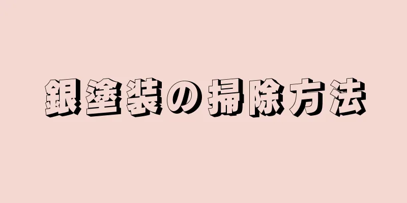 銀塗装の掃除方法