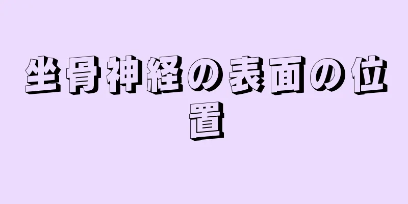 坐骨神経の表面の位置