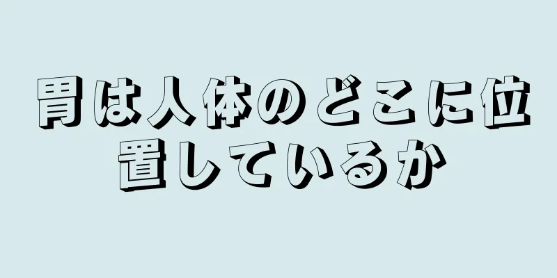 胃は人体のどこに位置しているか