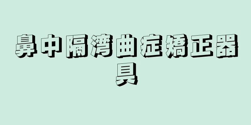 鼻中隔湾曲症矯正器具