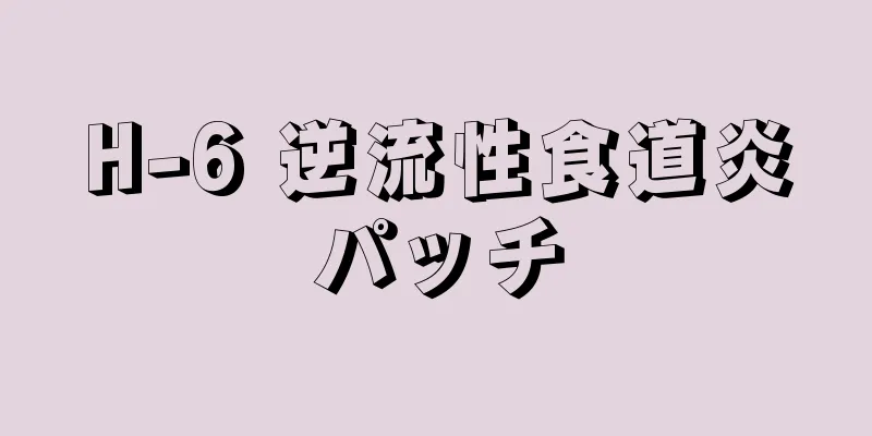 H-6 逆流性食道炎パッチ