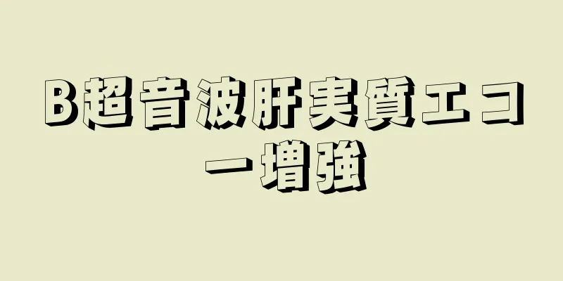 B超音波肝実質エコー増強