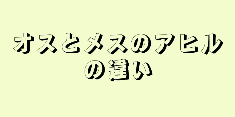 オスとメスのアヒルの違い